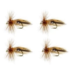 Pool 12 Europa 12 (4pcs)