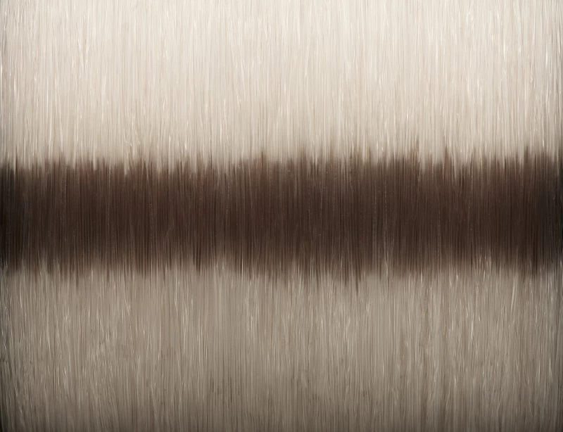 Savage Gear Silencer Mono Fade 300m 2 Savage Gear Silencer Mono Fade 300m – Bild 2