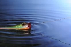 Knot 2 Kinky 1x1 Titanium 4,5m -Angelgeschäft AQ NT00815Cr 6